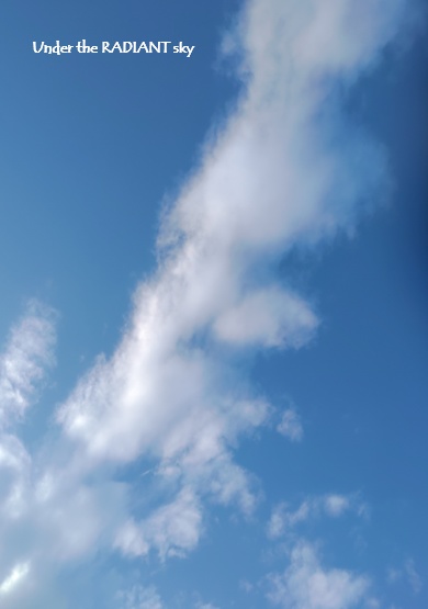 Under the RADIANT sky