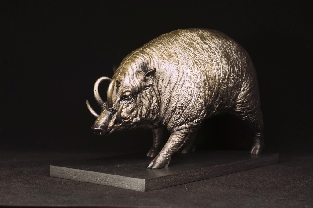 塗装済み完成品 バビルサの貯金箱 金塗装版