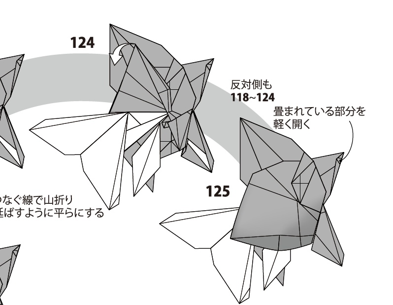 【折り図】琉金