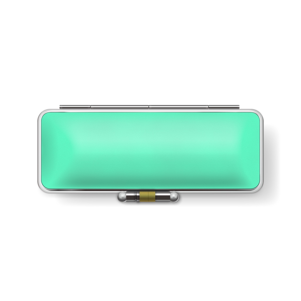 アメリカンコッカースパニエルっぽい犬印鑑ケース(4種)