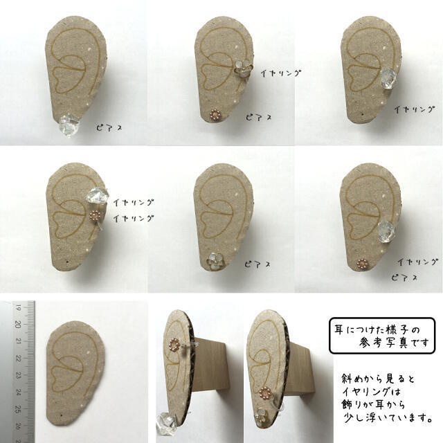 三種の耳飾りと指輪の標本箱