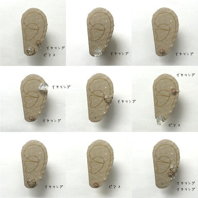 三種の耳飾りと指輪の標本箱