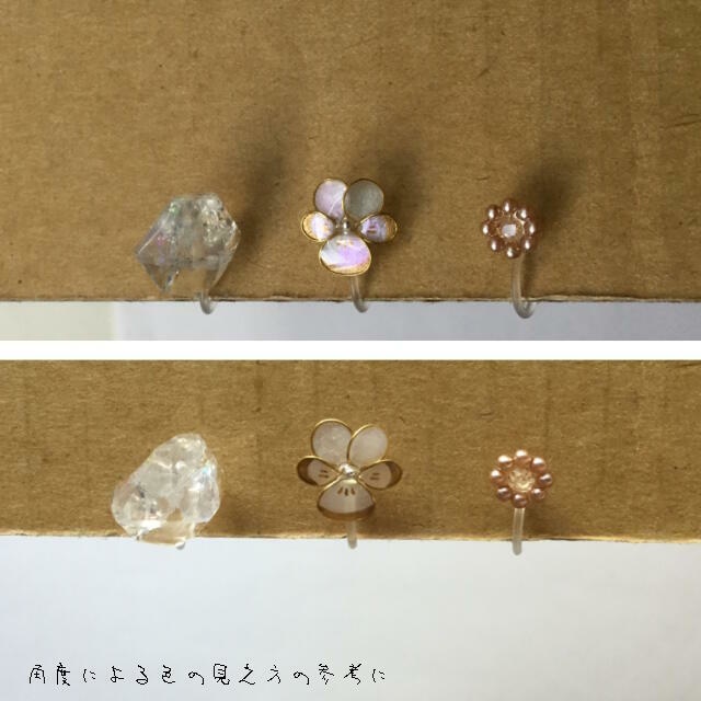三種の耳飾りと指輪の標本箱
