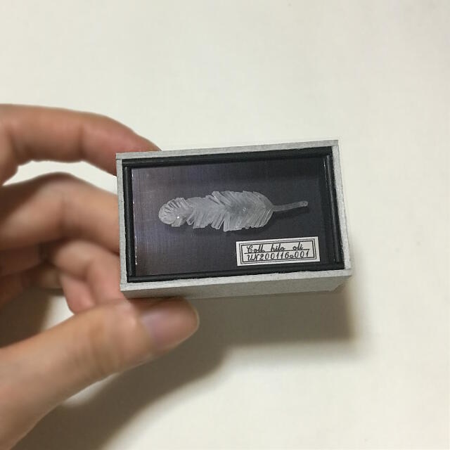 標本小箱(小物入れ)"羽状結晶・偽"