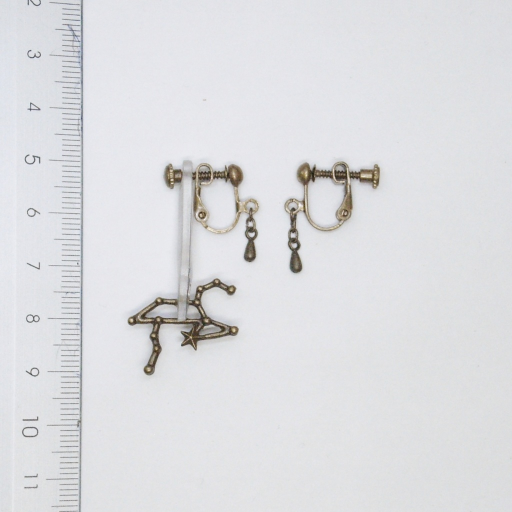 星座をつまむ《獅子座》イヤリング