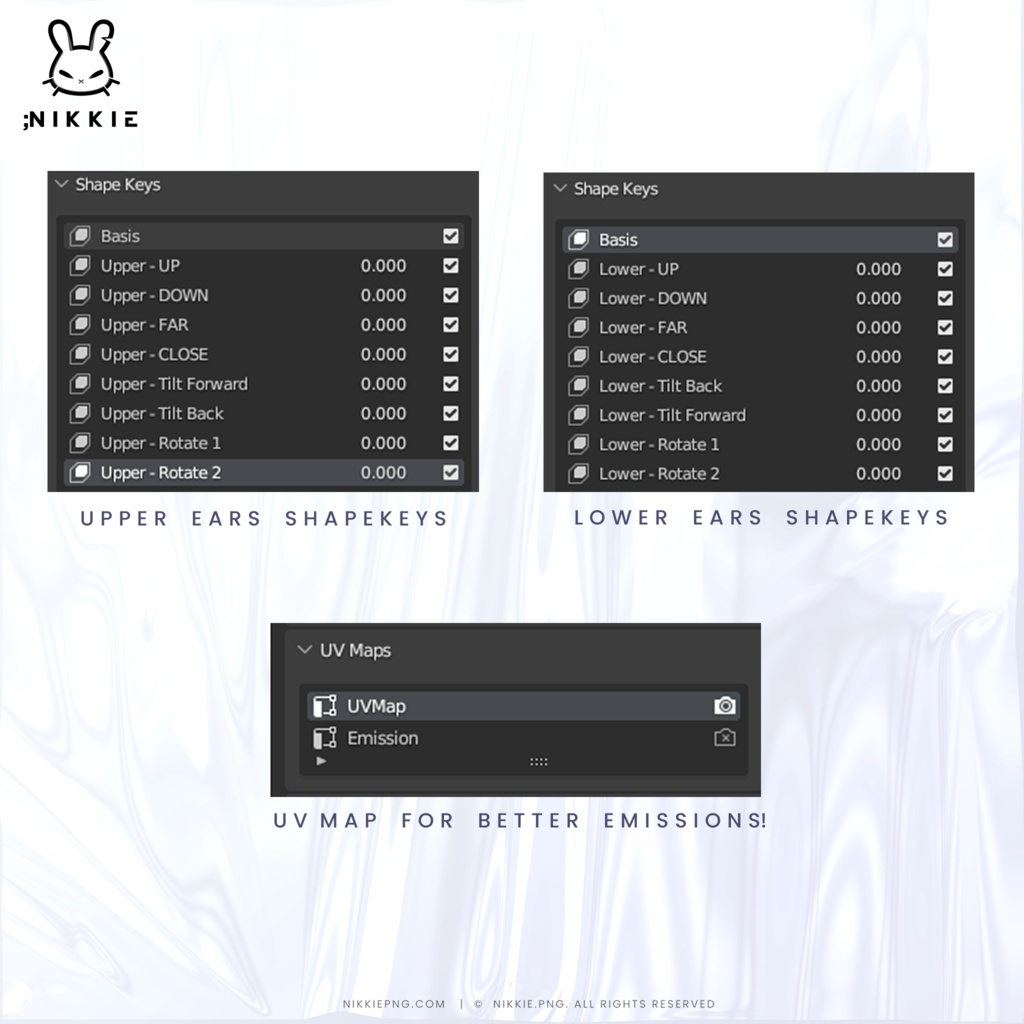 RE ; KYOMI EARS & TAIL (耳と尻尾)