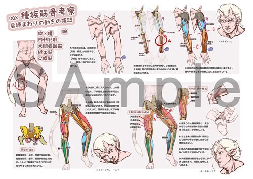 TRIBAL ANATOMY vol.01