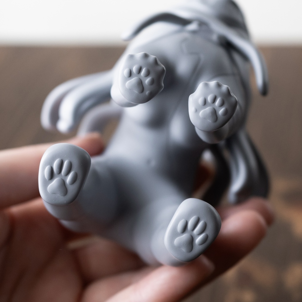 ゼニャール 第10の使徒