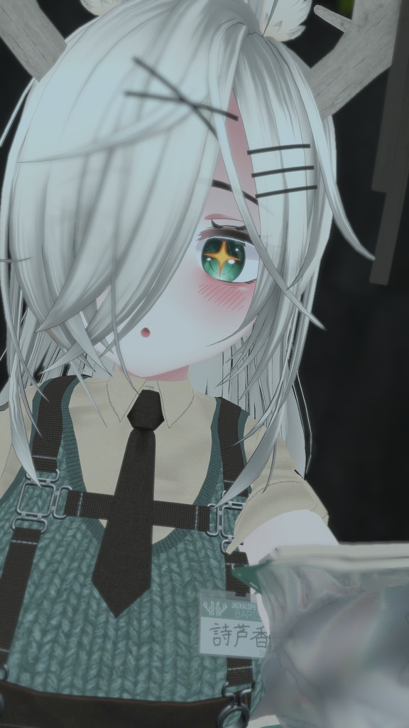 オリジナル3Dモデル「詩芦香」-Shiroka-