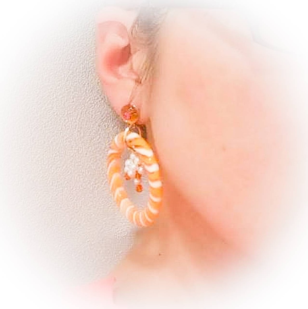 サーモンとイクラご飯の イヤリング ピアス