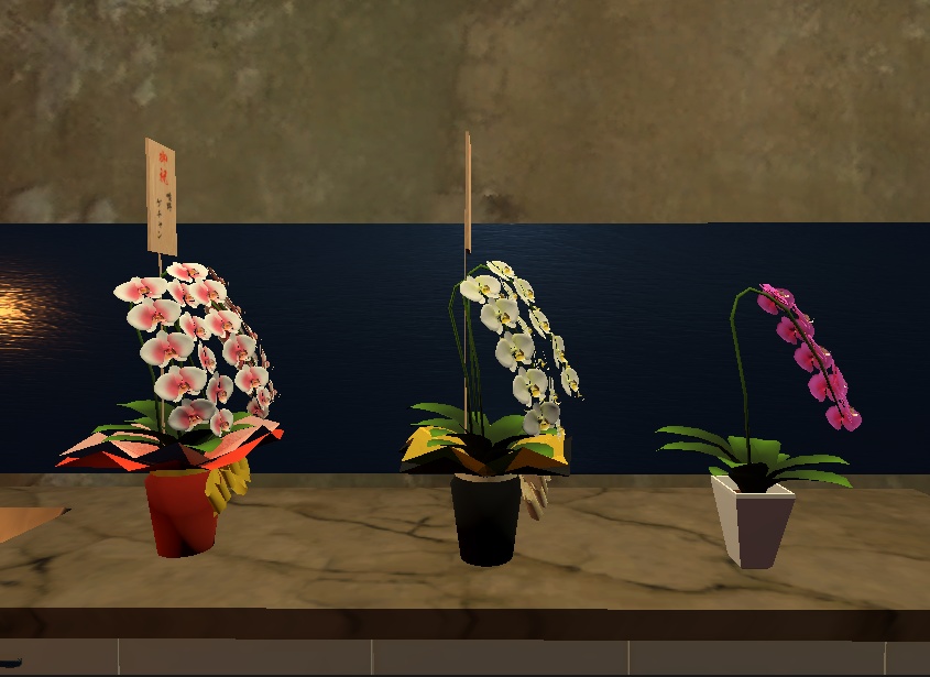 バーチャル胡蝶蘭セット【3Dモデル、アバター付き】