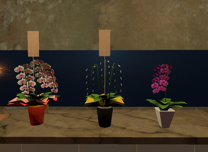 バーチャル胡蝶蘭セット【3Dモデル、アバター付き】