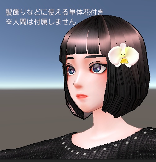 バーチャル胡蝶蘭セット【3Dモデル、アバター付き】