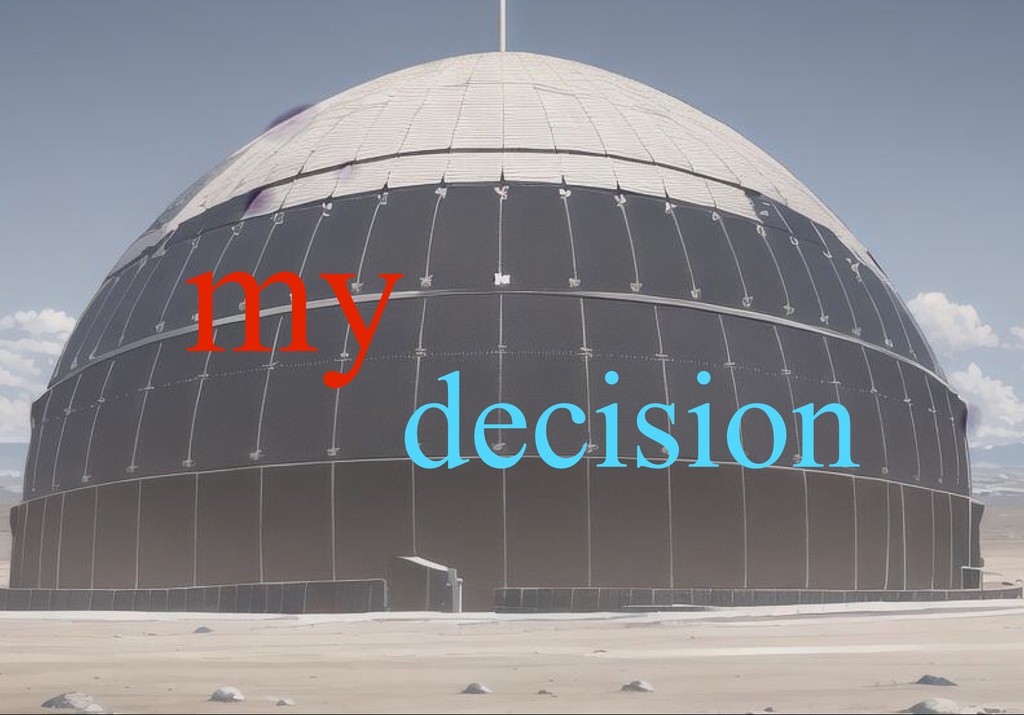 My Decision