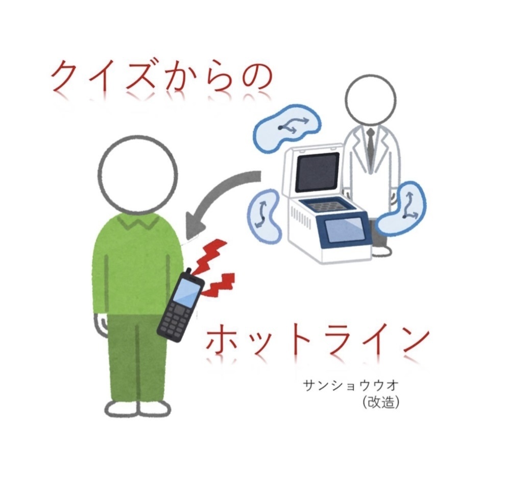 クイズからのホットライン