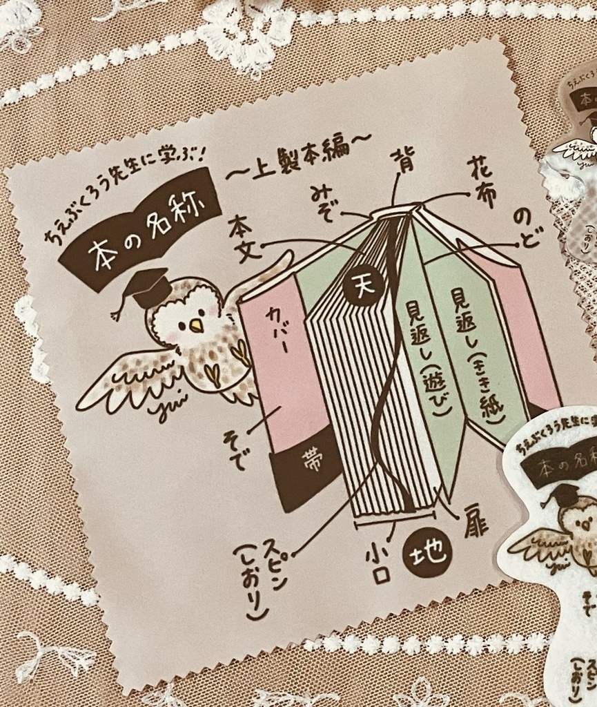 ちえぶくろう先生に学ぶ！本の名称　メガネクロス