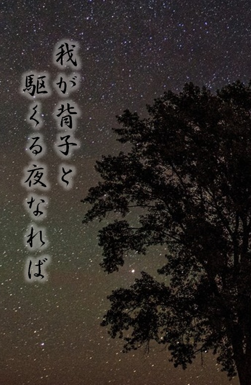 【忍たま・五年生】我が背子と駆くる夜なれば
