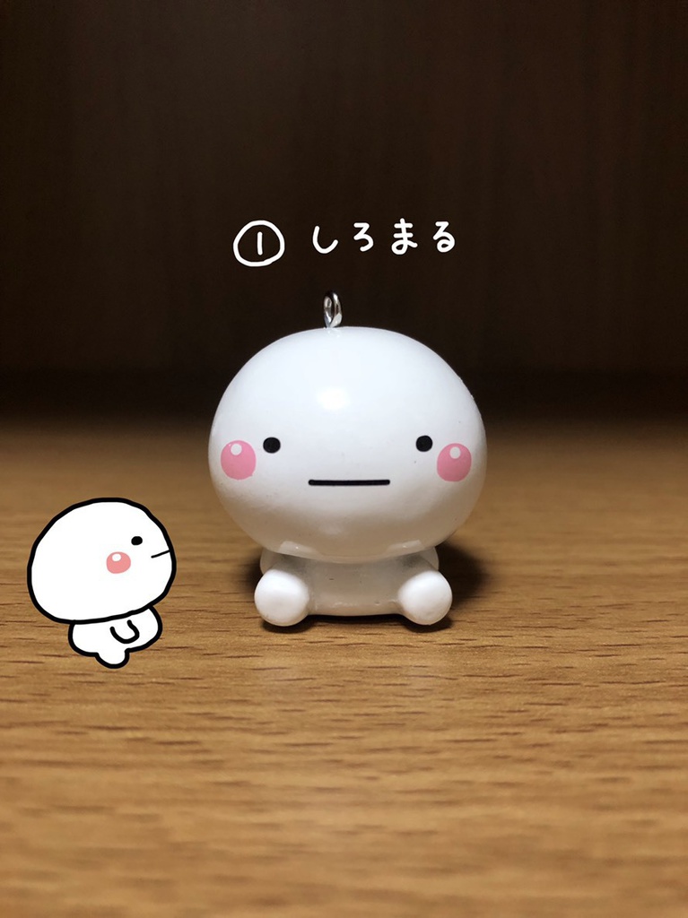 ラスト大特価!しろまる・まるちゃんキーホルダーおすわりver