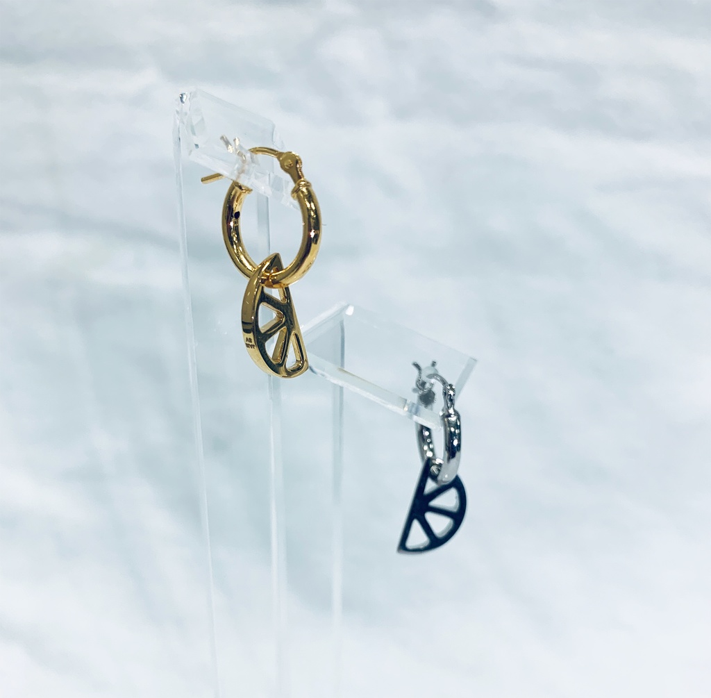 ピアス・イヤーカフ