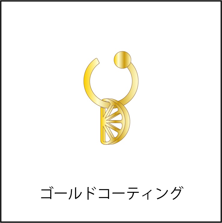 ピアス・イヤーカフ