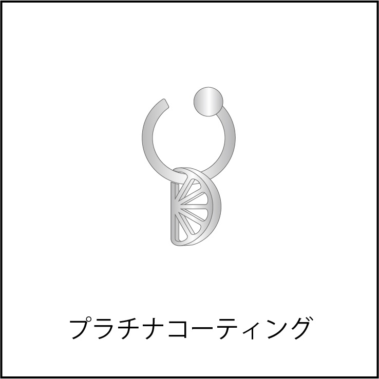 ピアス・イヤーカフ