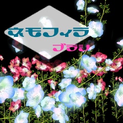 ネモフィラブラシ