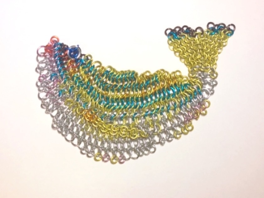 ミスジフエダイ