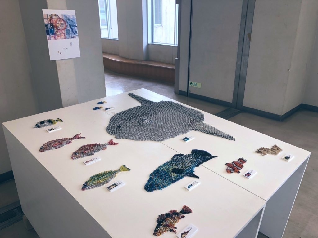 ミスジフエダイ