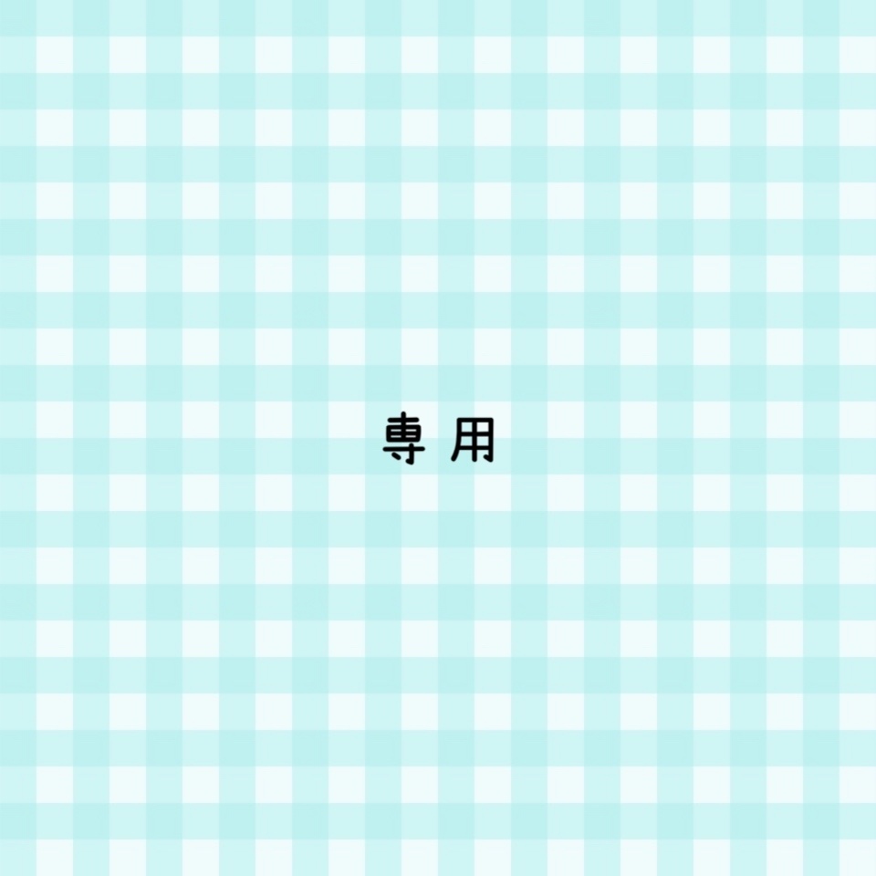 ヘアクリップ 確認用