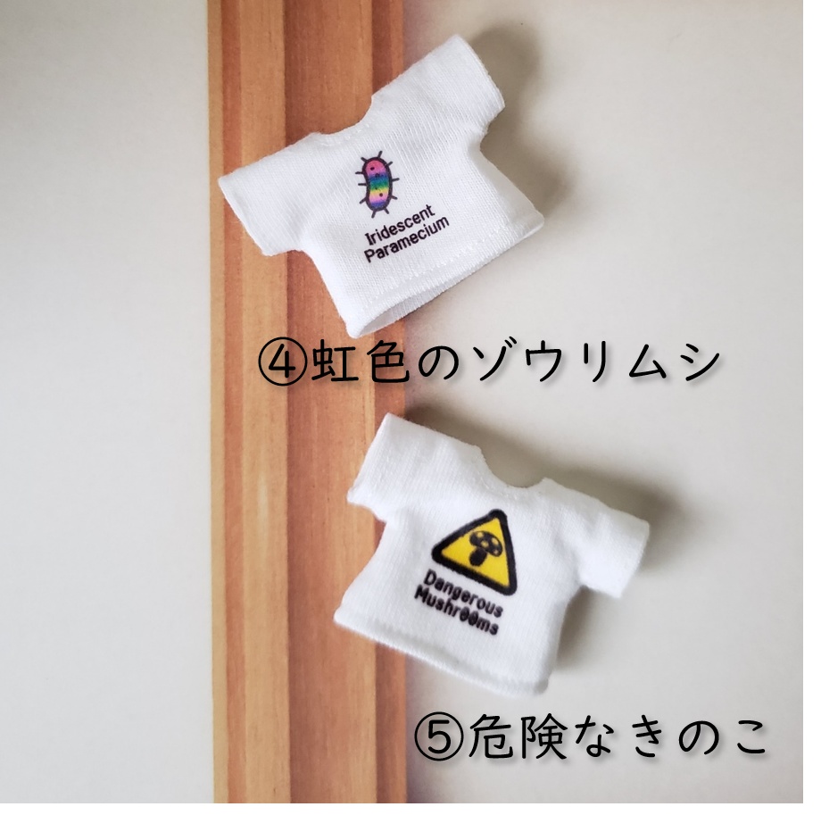 第一弾💗かわいいジョークTシャツ:帽子とかにさんと虹色のゾウリムシと…