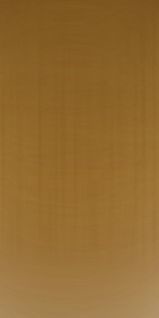 Light Brown Hair Texture