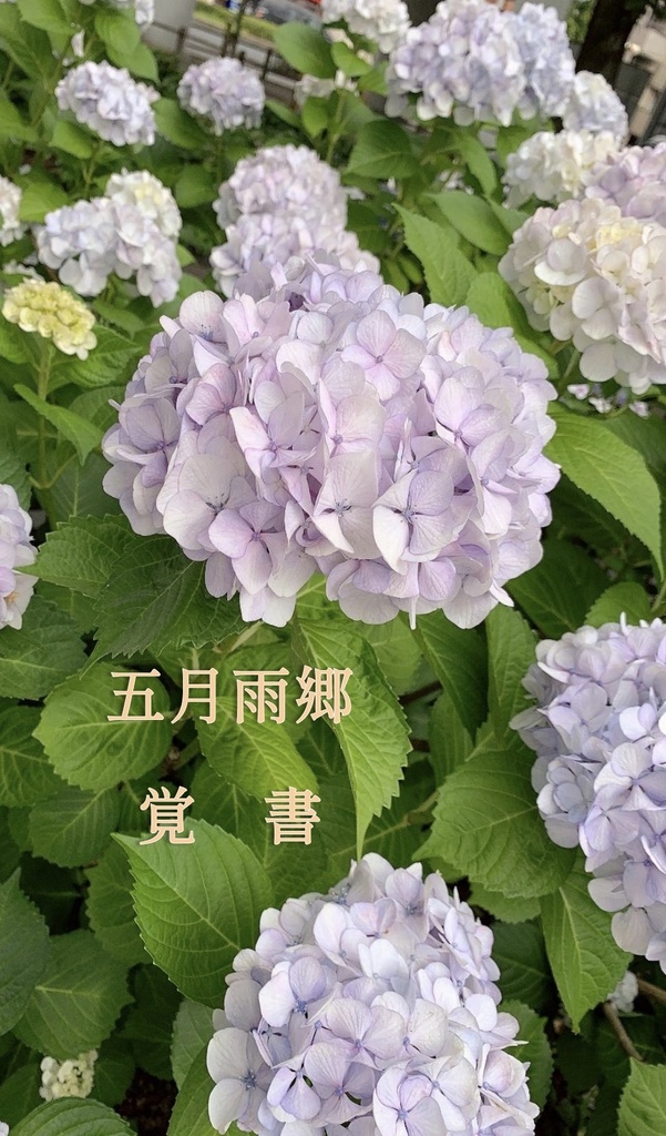 五月雨郷覚書 改訂第五版