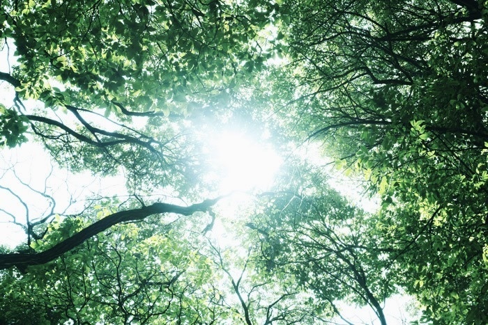 フリーBGM「かくれんぼ」