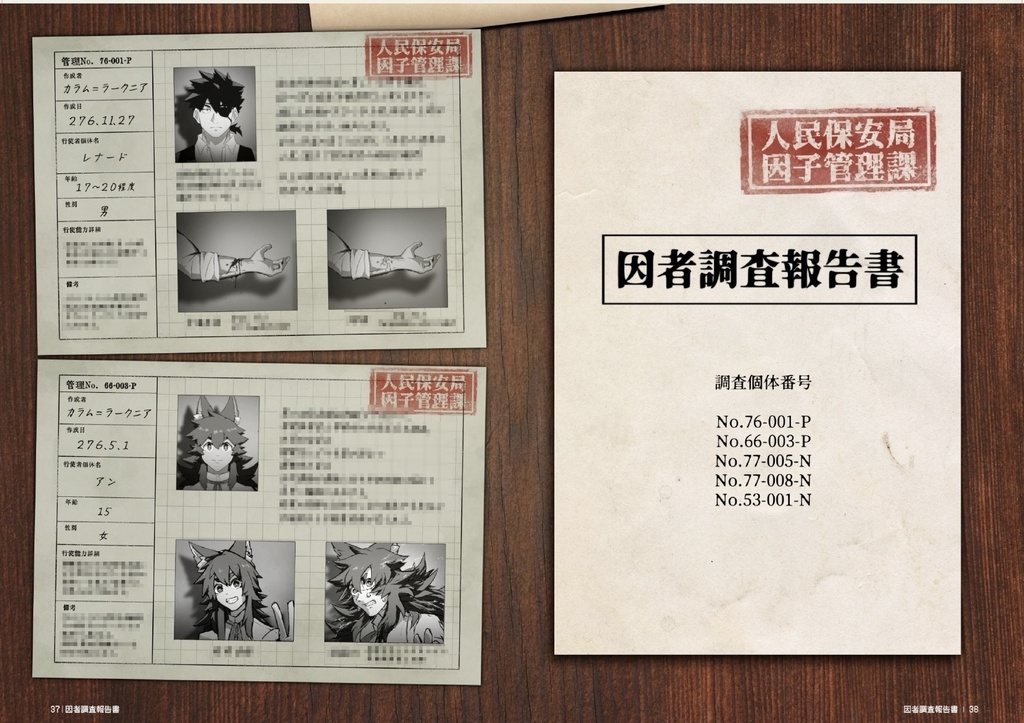 TransRecord公式設定資料集