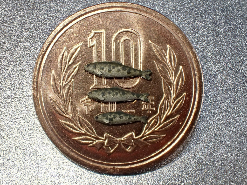 1/35 M1 35 鱒(川魚)セット