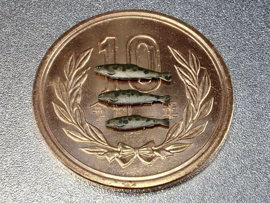 1/35　M1 35　鱒（川魚）セット