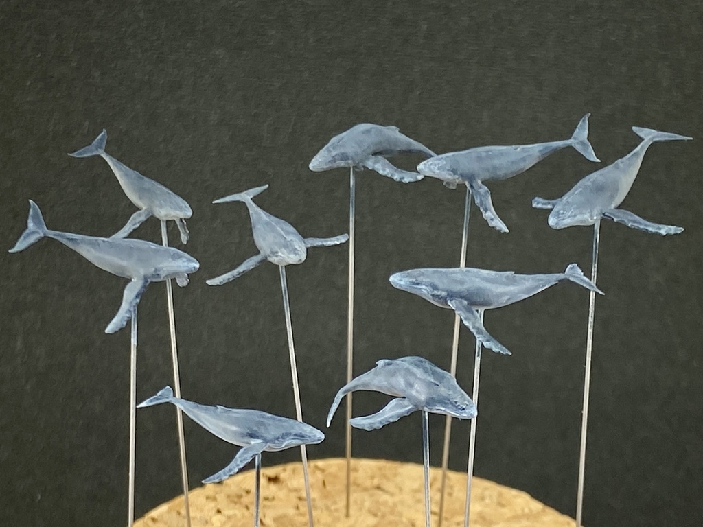 1/700 M11 Humpback Whale ザトウクジラセット