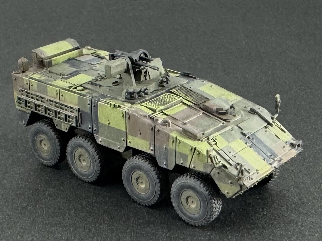 1/144 TW1 144 現用台湾軍 CM-32 雲豹