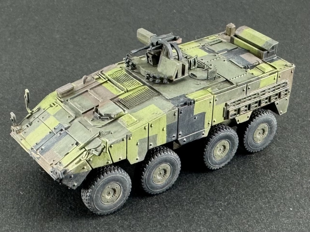 1/144 TW1 144 現用台湾軍 CM-32 雲豹