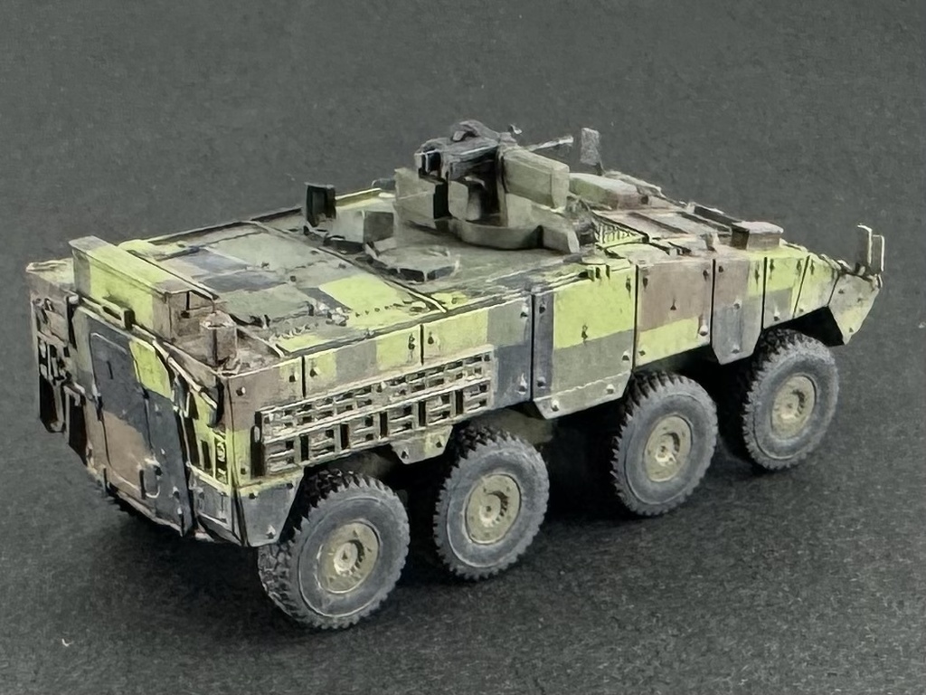 1/144 TW1 144 現用台湾軍 CM-32 雲豹
