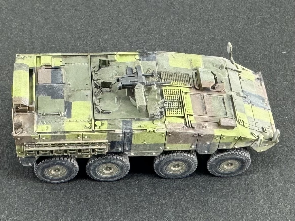 1/144 TW1 144 現用台湾軍 CM-32 雲豹