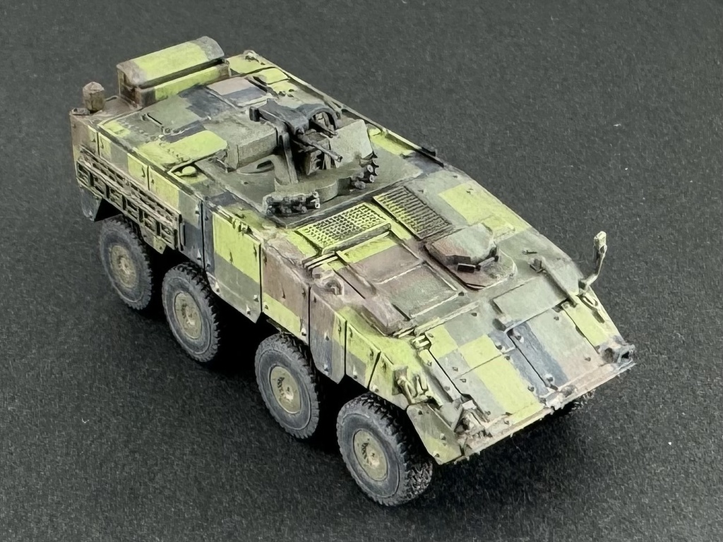 1/144 TW1 144 現用台湾軍 CM-32 雲豹