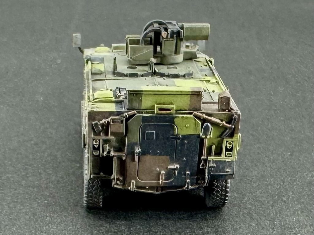 1/144 TW1 144 現用台湾軍 CM-32 雲豹