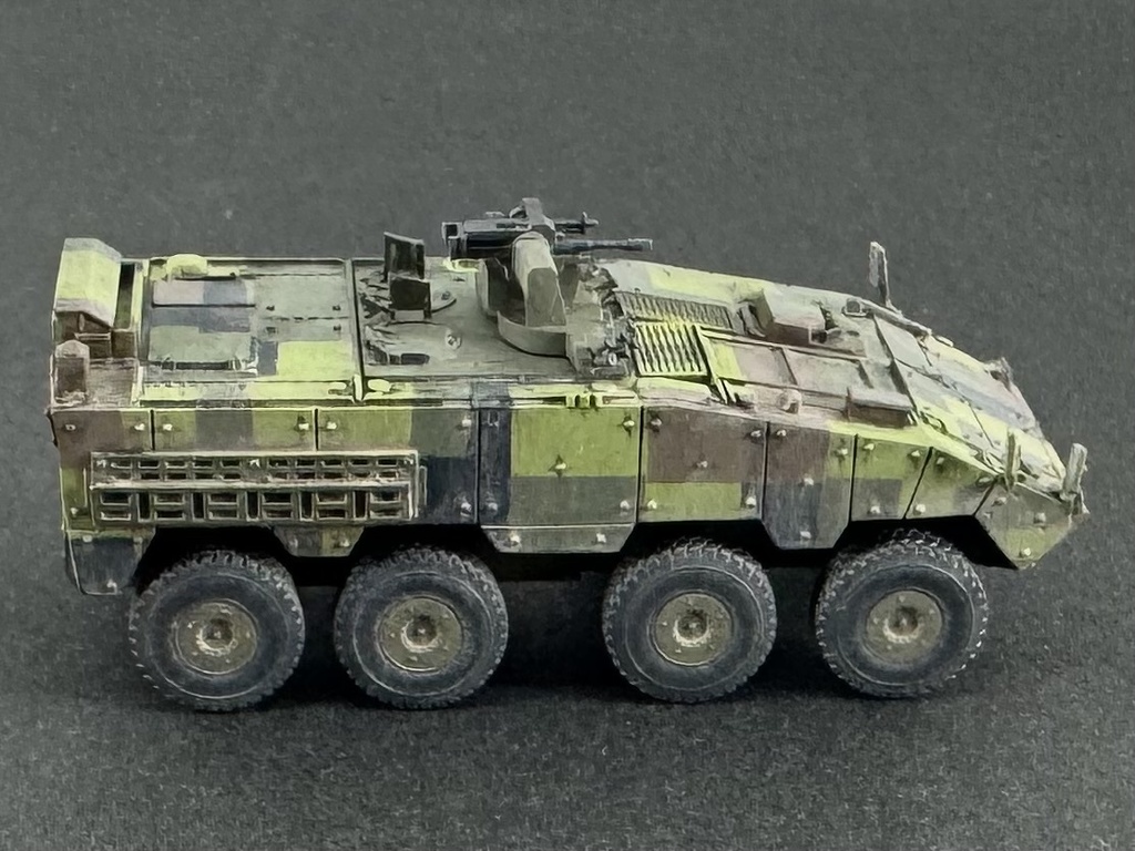 1/144 TW1 144 現用台湾軍 CM-32 雲豹