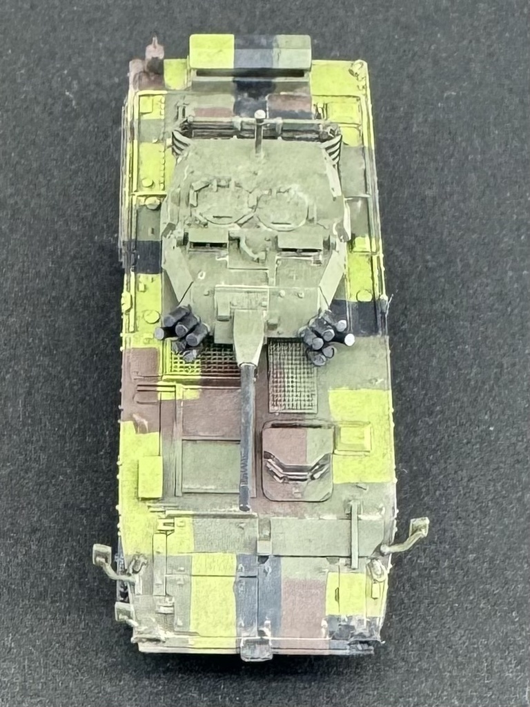 1/144 TW2 144 現用台湾軍 CM-34 雲豹 戦闘装甲車