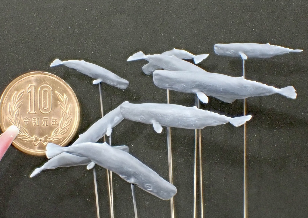 1/700 M27 Sperm Whale マッコウクジラセット