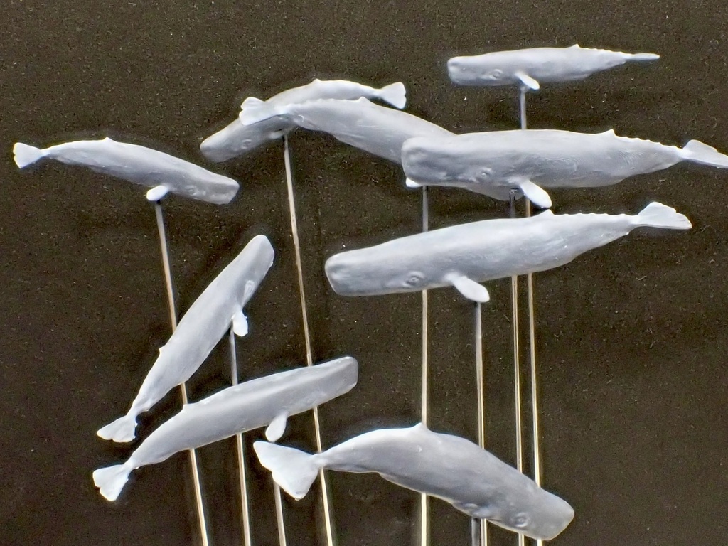 1/700 M27 Sperm Whale　マッコウクジラセット