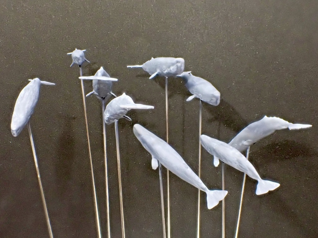 1/700 M27 Sperm Whale マッコウクジラセット
