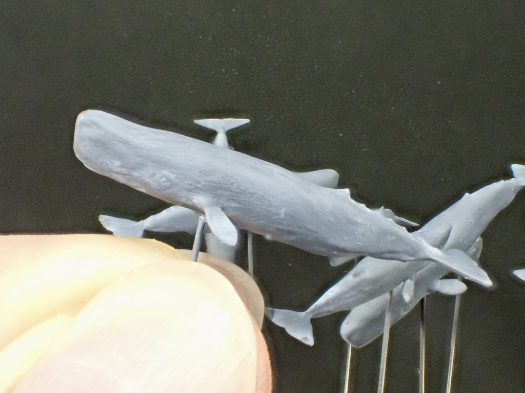 1/700 M27 Sperm Whale マッコウクジラセット