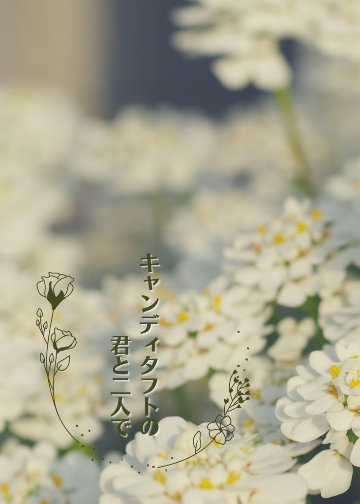 キャンディタフトの君と二人で Papiconoomise Booth